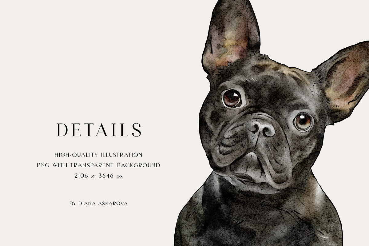 Dog breed clipart illustration set, an Animal Illustration by Diana Askarova Art (Photo 7 of 8)
