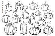 Pumpkins - vector clipart, a Seasonal Illustration by Glass Cat Design (Thumbnail 2 of 10)