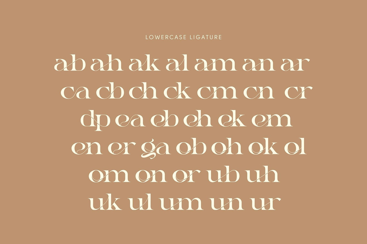 Gauker - Modern Ligatures Serif, a Serif Font by Nirmana Visual (Photo 7 of 12)