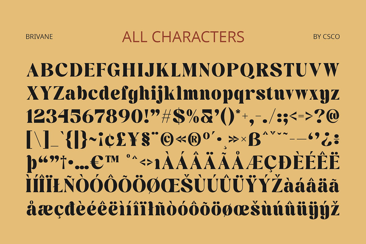 Brivane – Bold Font, a Serif Font by Craft Supply Co. (Photo 8 of 8)