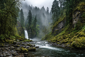Waterfall flows through forested, a Photo by Pavel_design