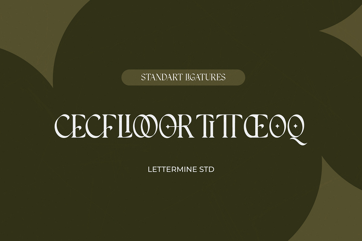 Insomatte - Modern Serif, a Serif Font by Lettermine (Photo 8 of 10)