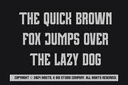 Bronze Champions Futuristic Display, a Serif Font by IHDSTD (Thumbnail 4 of 8)
