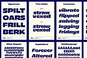 Bilda, a Sans Serif Font by Flavortype (Thumbnail 2 of 17)