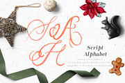 Christmas Watercolor Crest DIY, a Decorative Illustration by Graphic Box (Thumbnail 6 of 10)