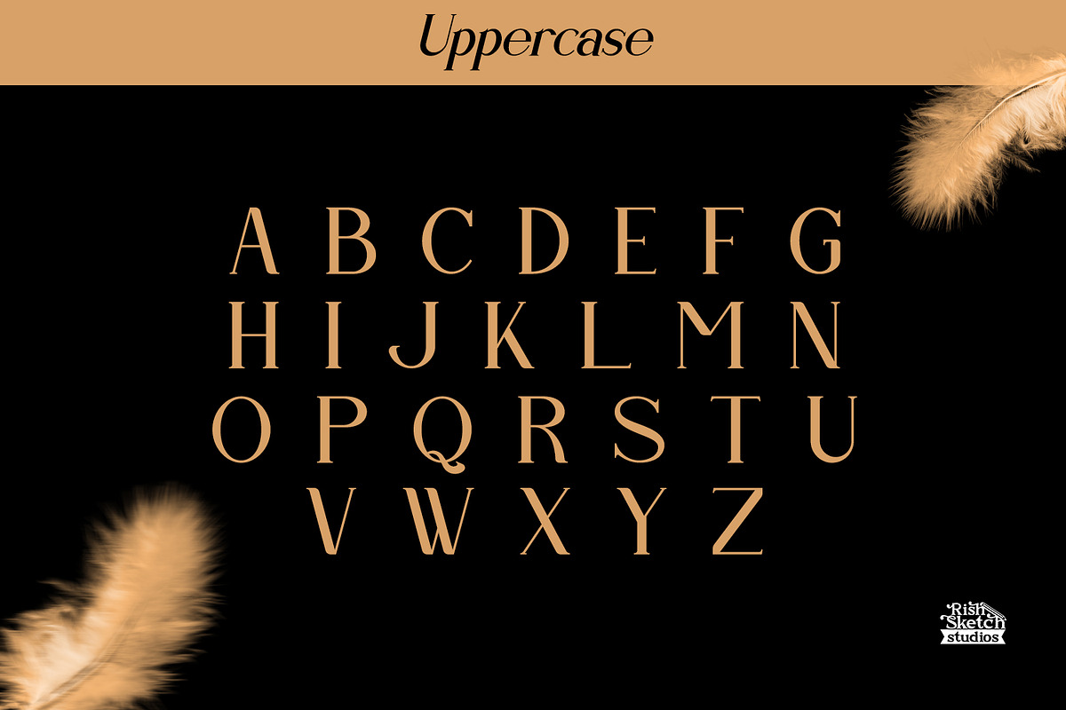 Danderain, a Serif Font by Rishsketch (Photo 8 of 13)