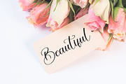 Pudding | Script Font, a Handwritten Font by Scratchones (Thumbnail 5 of 8)