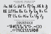 Home Designer, a Handwritten Font by FreshTypeINK (Thumbnail 4 of 7)