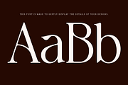 Avoxan, a Serif Font by Pista Mova (Thumbnail 7 of 16)