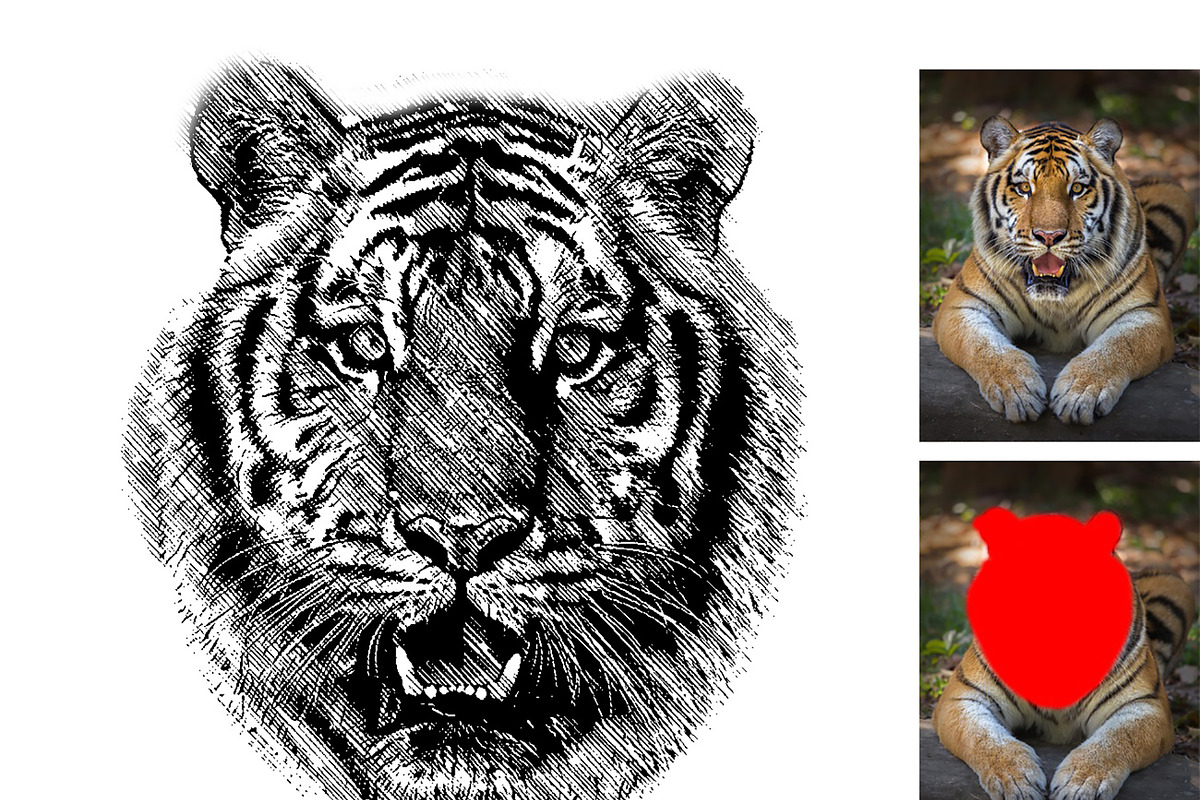 Vector Trace Photoshop Action, an Action Add-On by Photoshop Action (Photo 5 of 13)