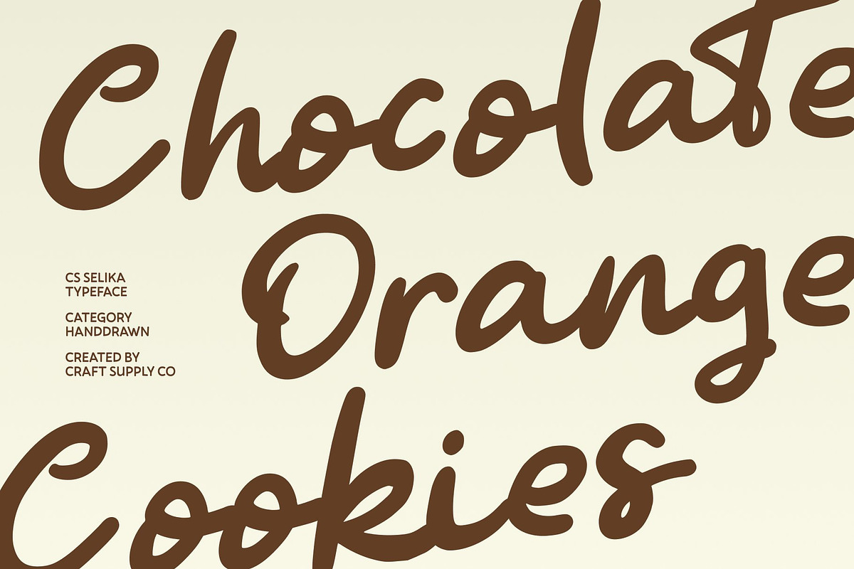 CS Selika – Handwritten Script, a Script Font by Craft Supply Co. (Photo 2 of 8)