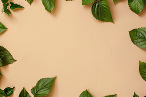 Green leaves of the plant border, a Nature Photo by Handmadefont
