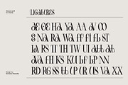 Vienna Modern Serif Font, a Serif Font by Fortunes Co (Thumbnail 12 of 15)