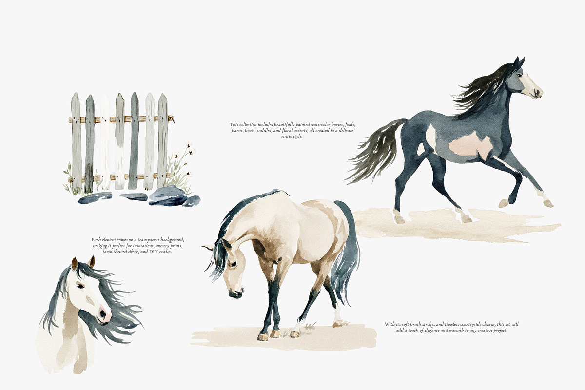horse clipart horse illustration set, an Illustration by Patishop Art (Photo 6 of 10)
