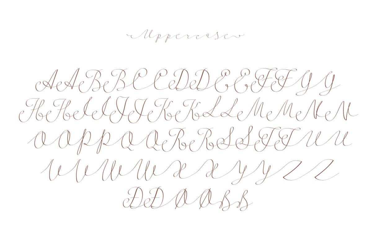 Follow script preview 7