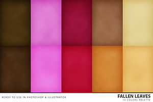 Autumn Palettes