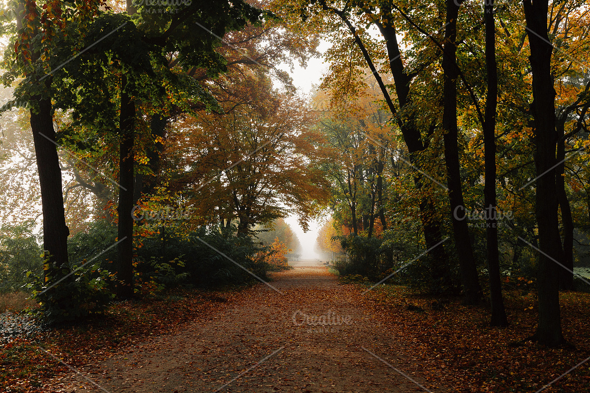 100+ New Hi-Res Autumn Photos, a Background Photo by moonloop (Photo 2 of 13)