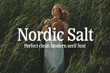 Nordic Salt / Vintage Modern Serif