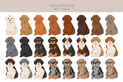 Vizsladoodle (Vizsla Poodle mix), an Animal Illustration by pet design shop (Thumbnail 4 of 6)