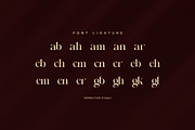 Angkle Elegant Serif Font, a Serif Font by Perfectype (Thumbnail 7 of 7)