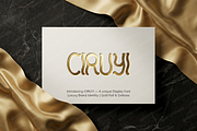 Ciruyi - Elegant Modern Serif, a Serif Font by Astuti Studio (Thumbnail 19 of 25)