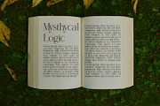Gistabon, a Serif Font by Rishsketch (Thumbnail 3 of 13)