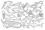 Shark Line Art PNG SVG, an Animal Illustration by ArtGiftsStudio (Thumbnail 3 of 5)