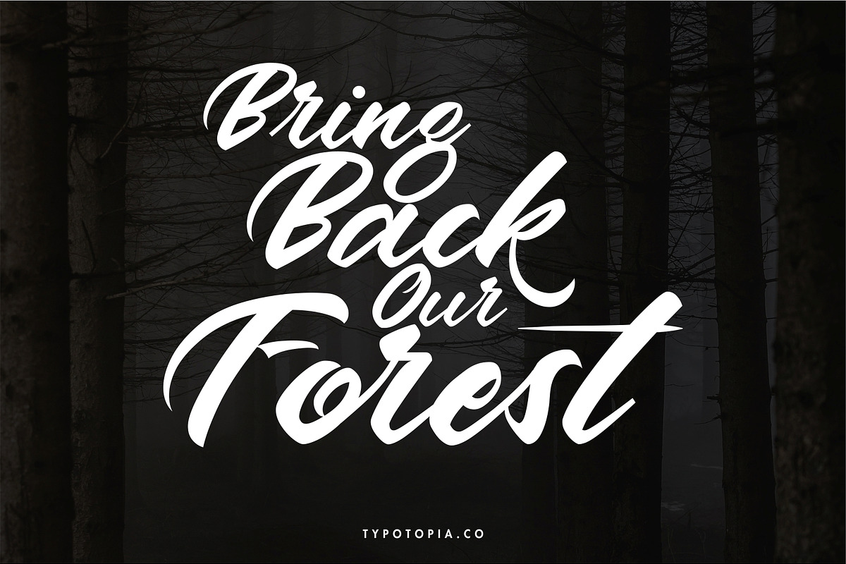 Andalas, a Script Font by edukka (Photo 7 of 9)