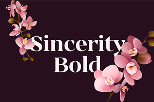 Sincerity Bold