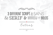 Salve Font Collection, a Script Font by Ahmet Altun (Thumbnail 2 of 6)