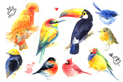 Original watercolor bird, an Animal Illustration by Tanor (Thumbnail 2 of 3)