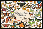370+ Butterflies Cliparts, an Animal Illustration by Lilithcollageart (Thumbnail 1 of 8)