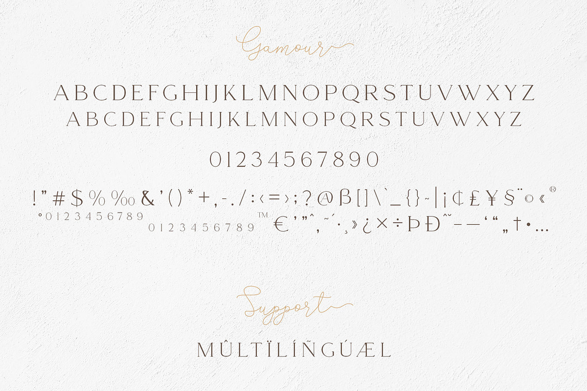 Gamour - Elegant Serif Font + Bonus preview 6