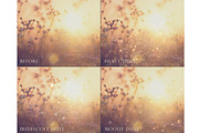 Cinematic dust overlays, an Object Graphic by Paper Farms (Thumbnail 4 of 6)