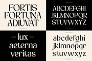 Headline Serif Font Bundle, a Serif Font by Mahesans Co (Thumbnail 8 of 25)