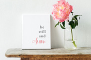 Cottonwood Market Typeface, a Script Font by Callie Rian & Co. (Thumbnail 16 of 18)