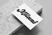 Metzel Script, a Script Font by Get Studio (Thumbnail 4 of 12)