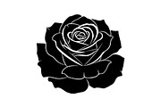 50 Black Rose Silhouette Vector Bund, an Illustration by Gaye Art (Thumbnail 35 of 51)