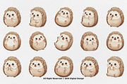 15 Bundle Watercolor Baby Hedgehog, an Animal Illustration by Morspective (Thumbnail 8 of 8)