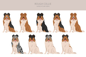 Rough Collie Clipart