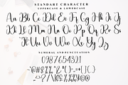 Heaven Beautiful, a Handwritten Font by FreshTypeINK (Thumbnail 3 of 8)