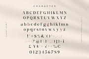 Clust - Modern Serif Elegant, a Serif Font by The_Type (Thumbnail 11 of 11)