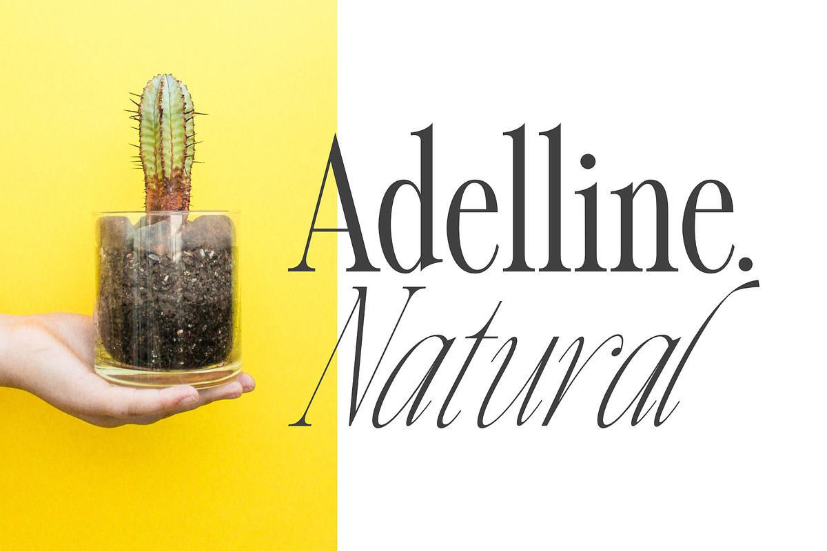 Gladysh | Elegant Condensed Serif, a Serif Font by Sealoung (Photo 9 of 15)