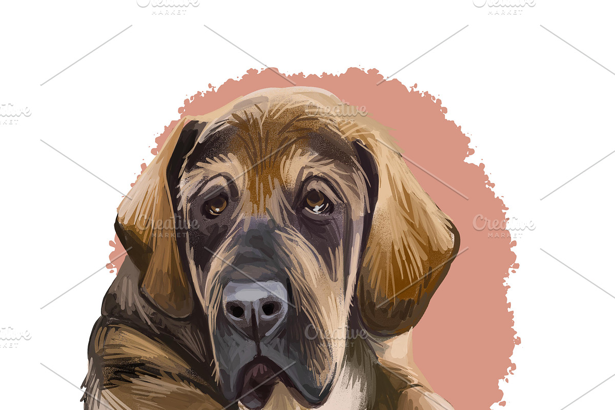 Puppies Dog Breeds Big Bundle 135Pcs, an Animal Illustration by Dneprstock (Photo 66 of 68)