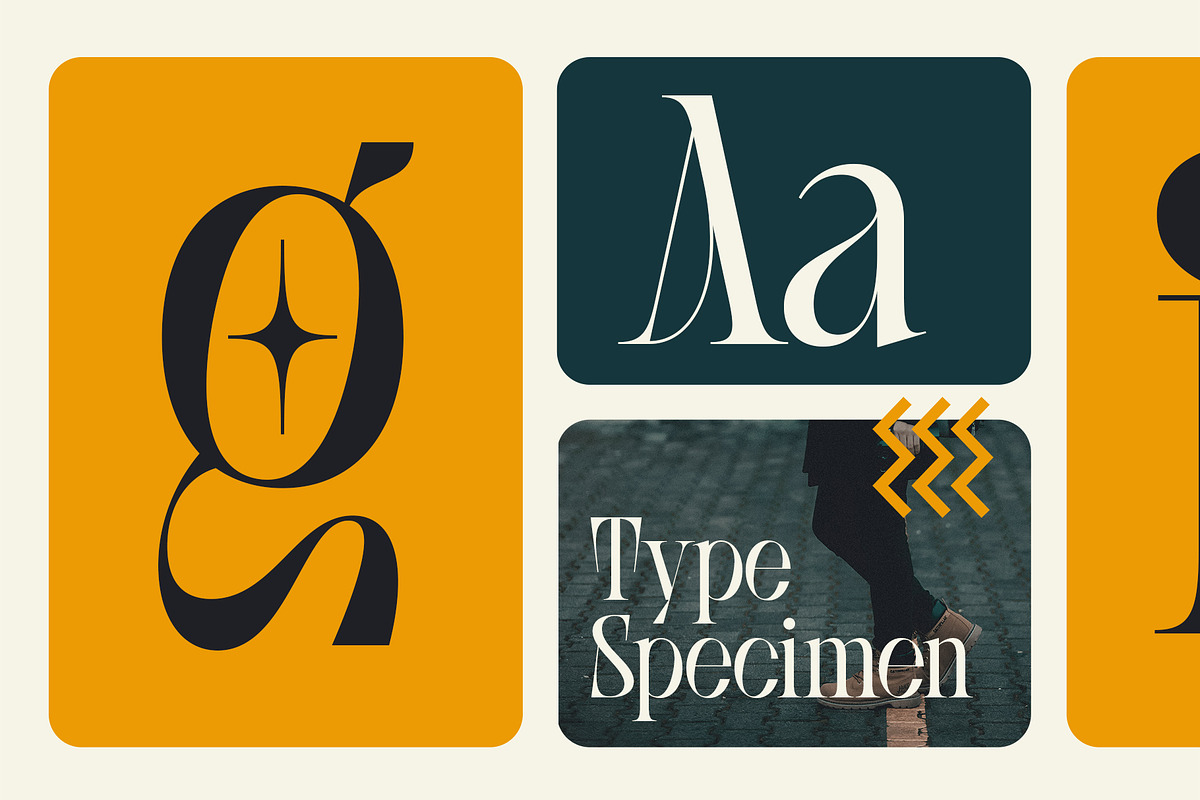 SLTF BOXROOM - Modern Serif Typeface, a Serif Font by SilverStag Type Foundry (Photo 12 of 30)