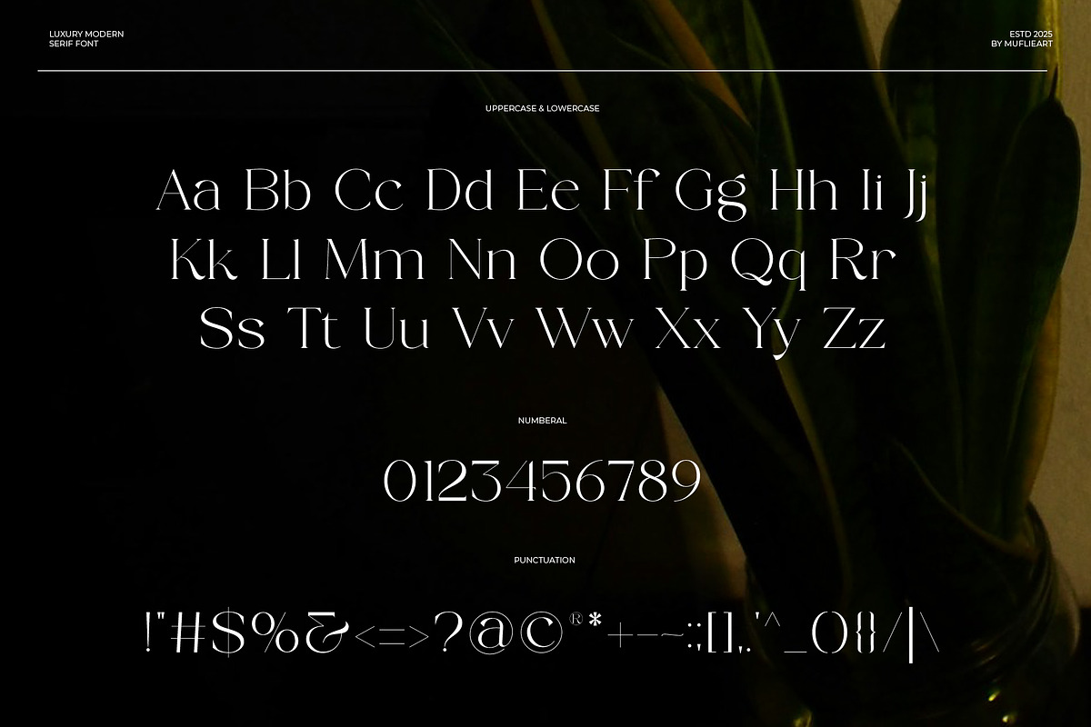 Rolive - Luxury Modern Serif, a Serif Font by Muflieart (Photo 9 of 10)