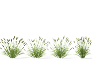 Shrub 2, an Environmental 3D Model by AndrewWhite (Thumbnail 2 of 14)