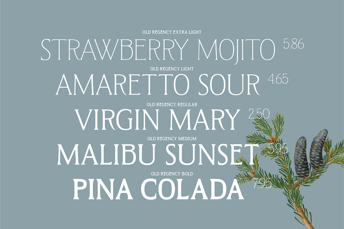 West and Olives (6 fonts + variable), a Font by The Old Type Foundry (Photo 3 of 12)