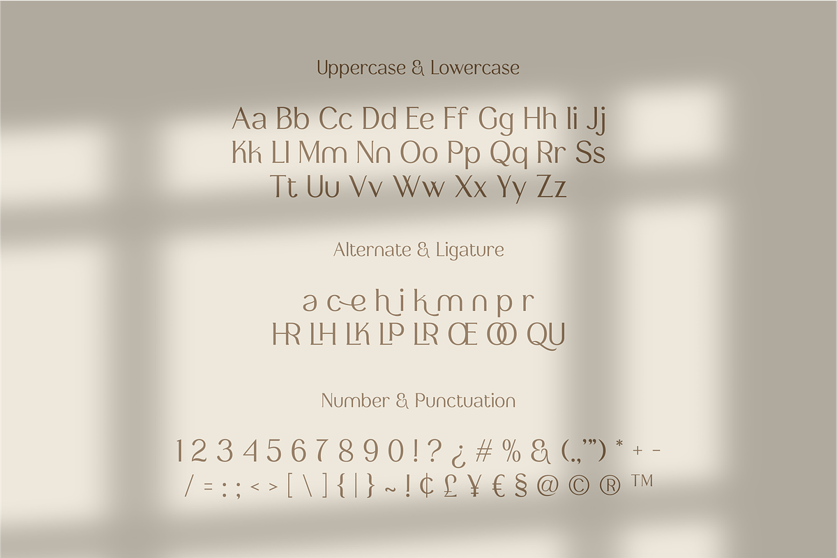 Regina Tiffany - Serif Typeface, a Serif Font by Artchitype Studio (Photo 9 of 12)
