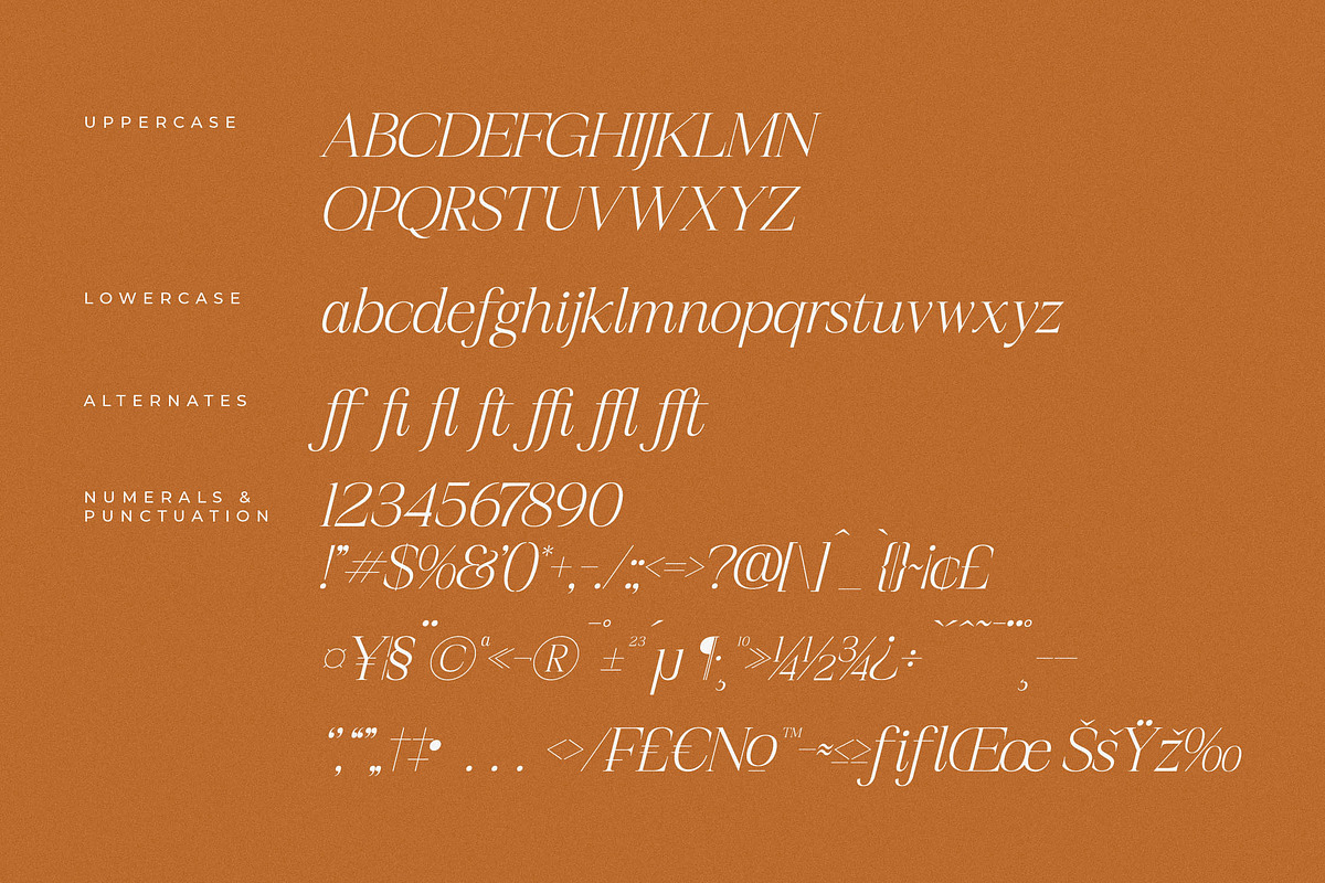 Realife Moment Modern Serif Font, a Serif Font by Letterena Studios (Photo 14 of 15)